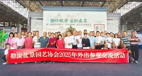 超2萬人打卡！第十四屆粵港澳臺(tái)盆景藝術(shù)博覽會(huì)中山黃圃完美收官